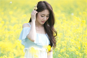 上海爱情中的势力平衡 上海爱情中的势力平衡